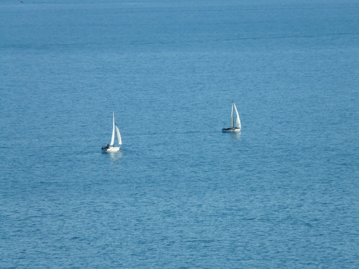 Sailing in Salcombe South Devon