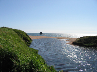 Thurlestone all year dog friendly beach South Devon